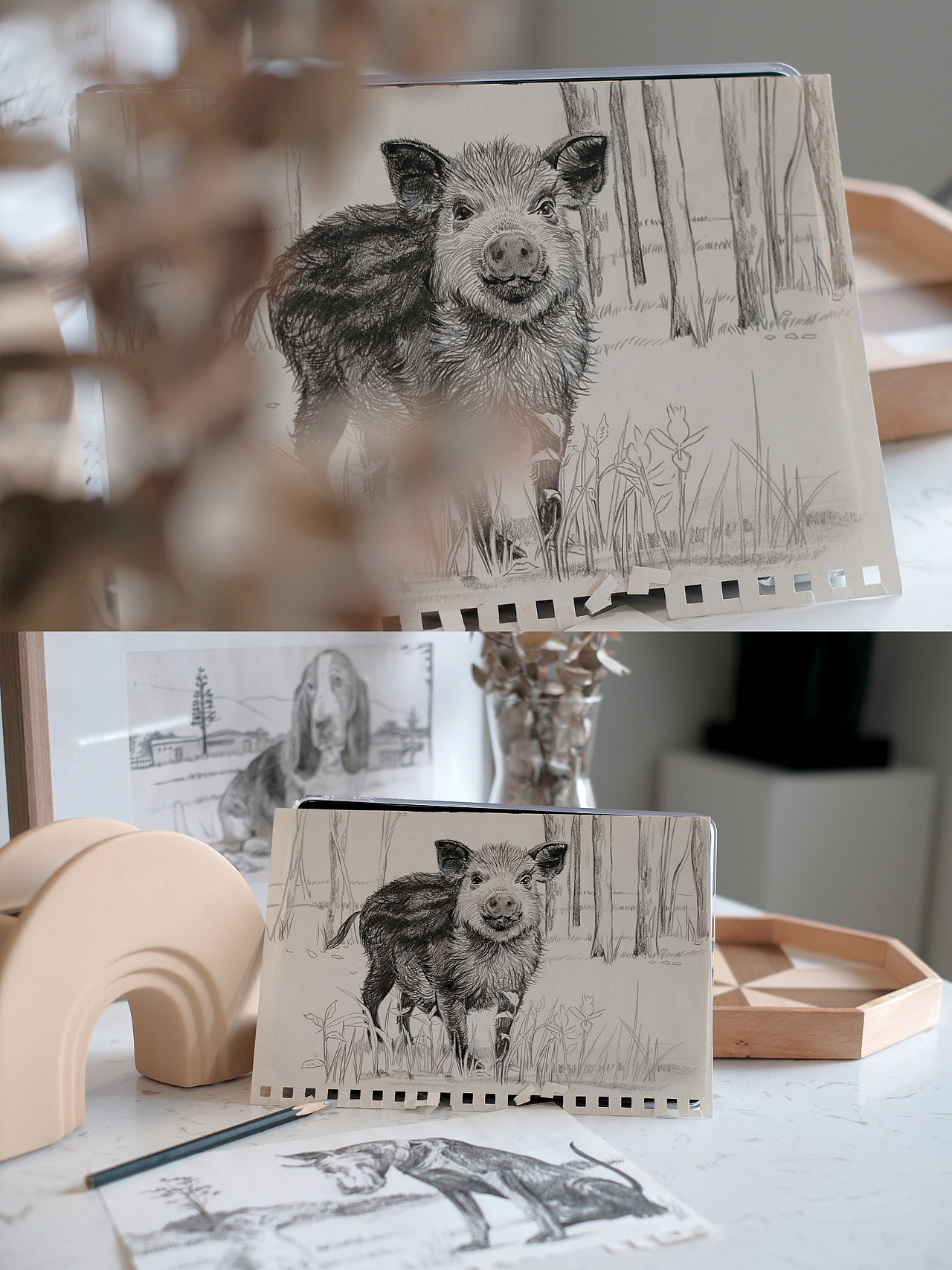 科普插画｜披上动物的外衣 