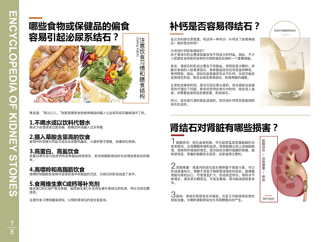 肾结石健康手册设计