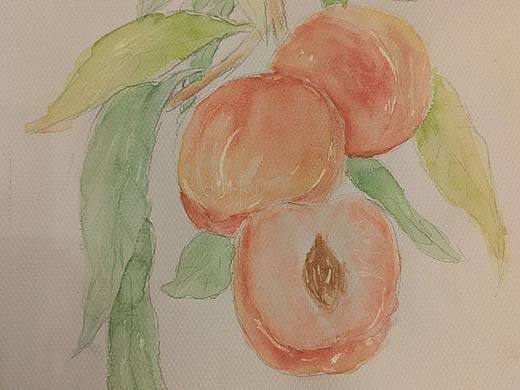 又是一张水彩，叶子随便画的😊（想赚钱）