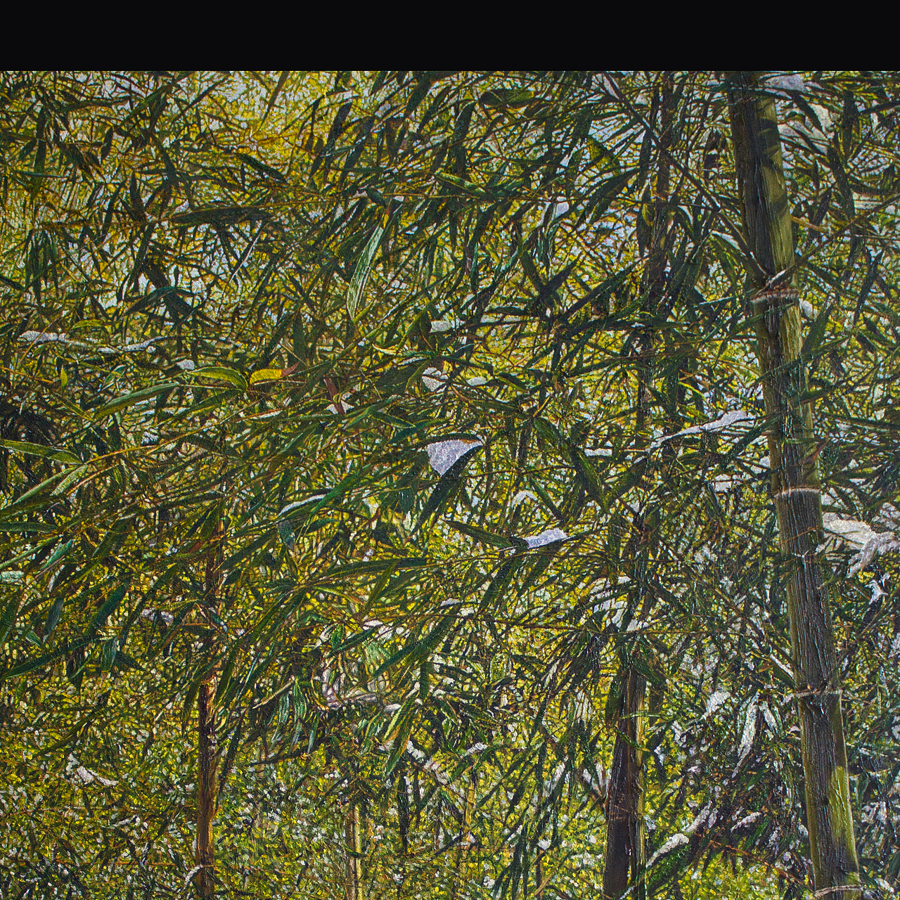 张咏鑫写实风景油画作品《翠葟沁雪》,尺寸60*140cm