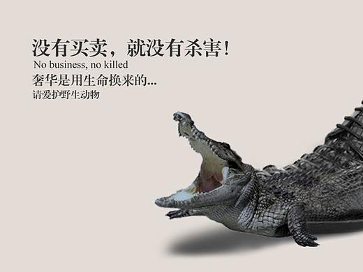 宣传海报