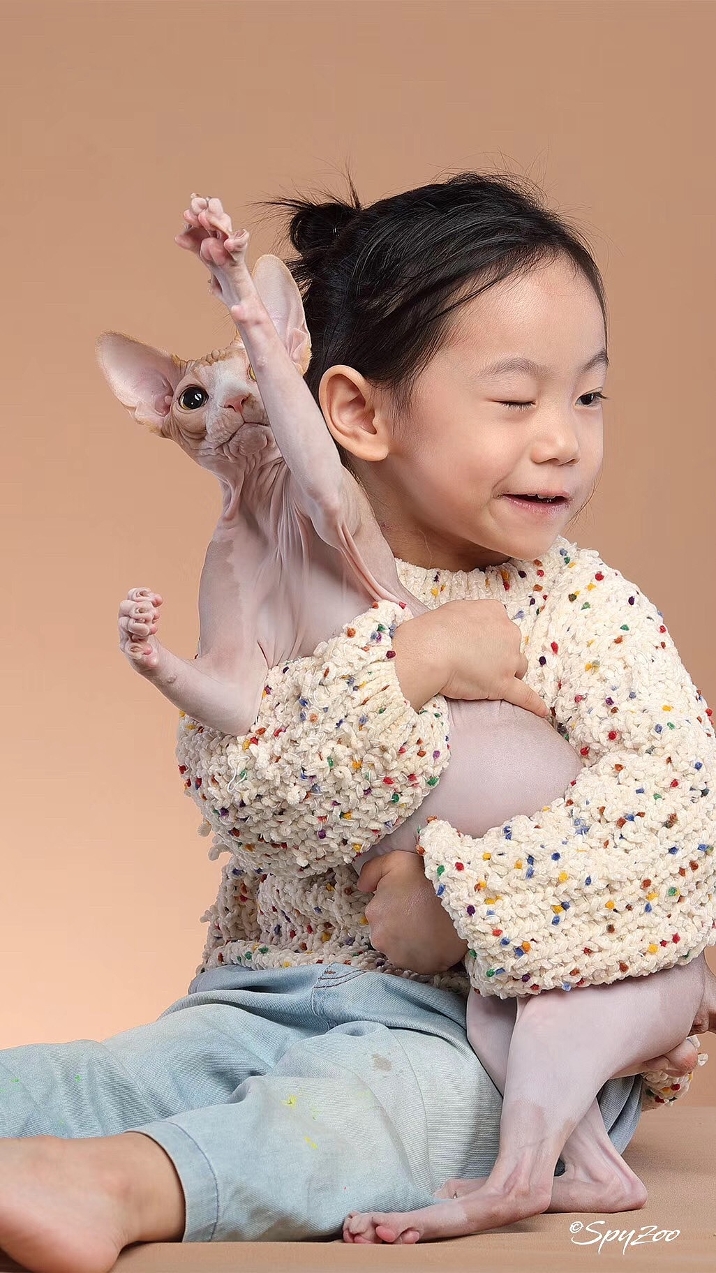 SPYZOO猫赛猫照片之「斯芬克斯无毛猫」（图ZMTY0MDc1NzM2） - 宠物摄影 - 站酷设计师spyzoo原创素材 - 站酷ZCOOL