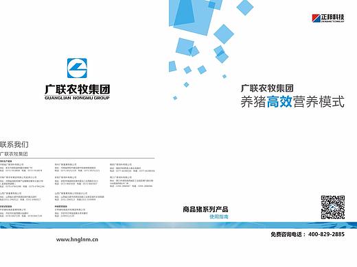养猪高效营养模式