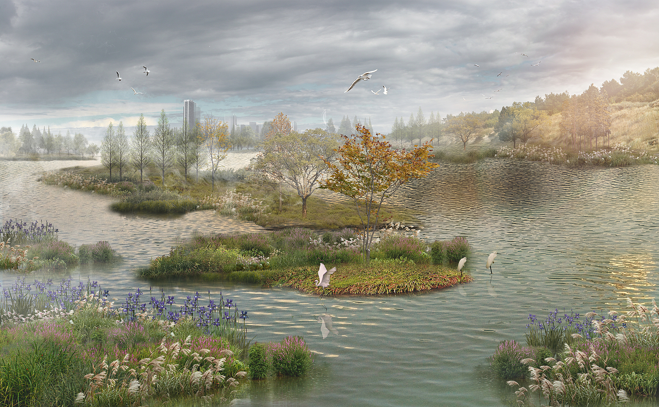 湿地景观效果图