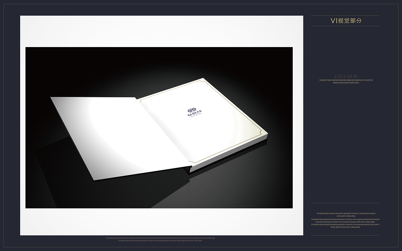 国色天香别墅项目VI设计方案B