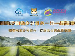 中国电信天虎云商运营中心“一县一品”视频