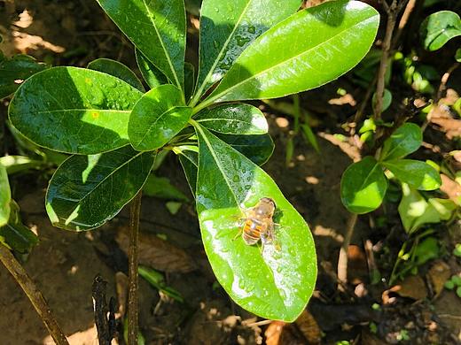 10月的阳光（个人主页-ZNDA3MzIzNTY=） - 风光摄影 - 站酷设计师万思阿艮原创素材 - 站酷ZCOOL