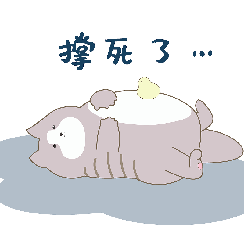 表情包 大脸猫和小吉吉