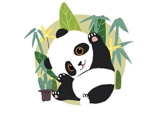 迅捷翻译APP引导页