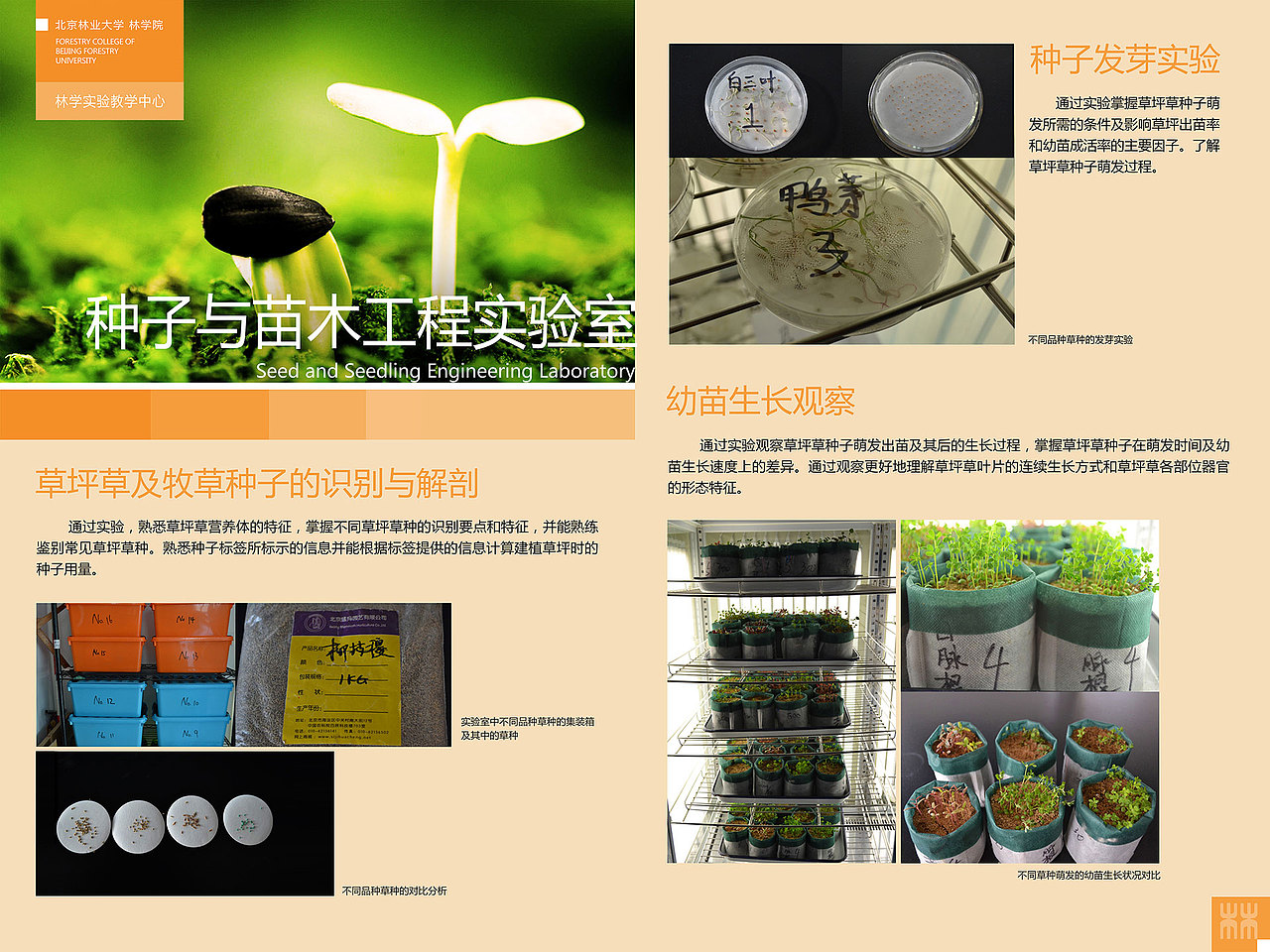 林学院展板设计（图ZMTk5OTQzNjIw） - 宣传物料 - 站酷设计师塞尚狸猫_Lemo原创素材 - 站酷ZCOOL