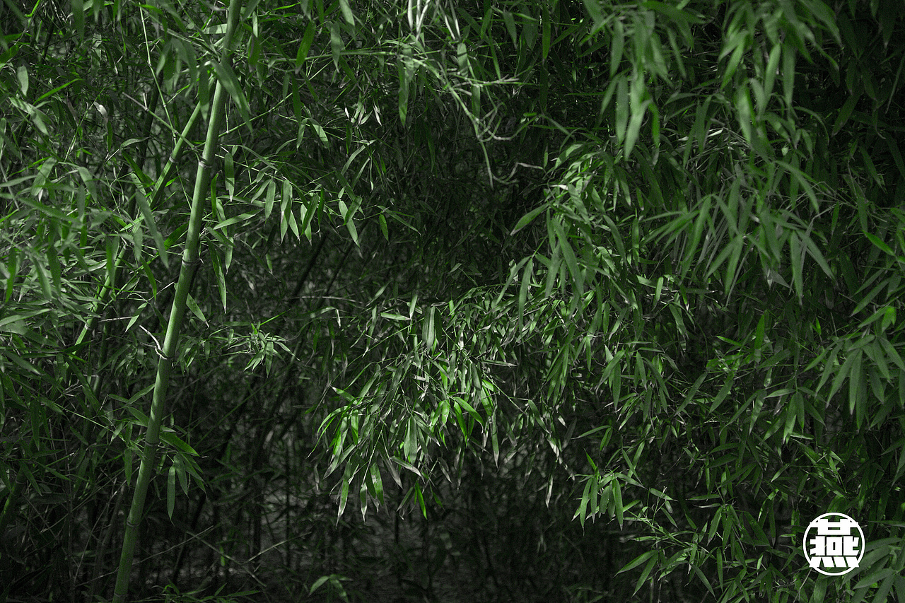 立春（图ZNjk1NTAyOTY=） - 风光摄影 - 站酷设计师热爱英语的小同学原创素材 - 站酷ZCOOL