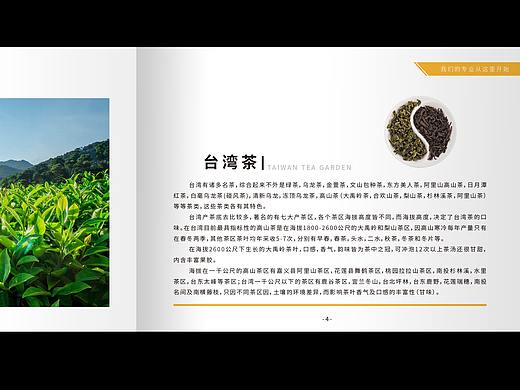 企业画册