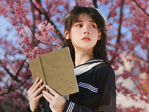 樱花是春天的终极浪漫