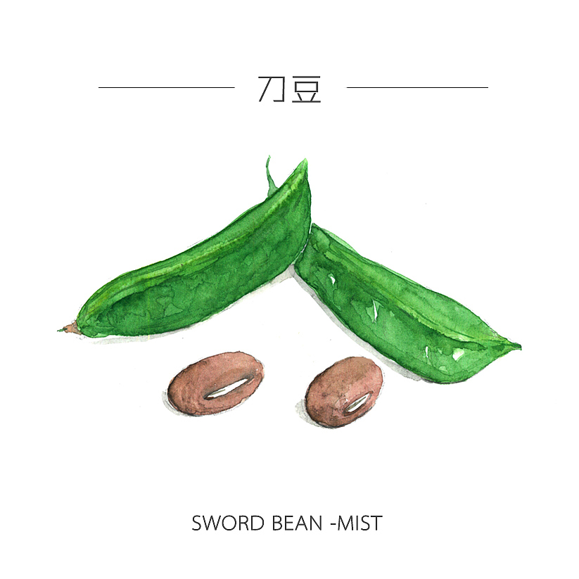 人类食谱-蔬菜（图ZMzY4MDg5MDg=） - 商业插画 - 站酷设计师反派放映原创素材 - 站酷ZCOOL
