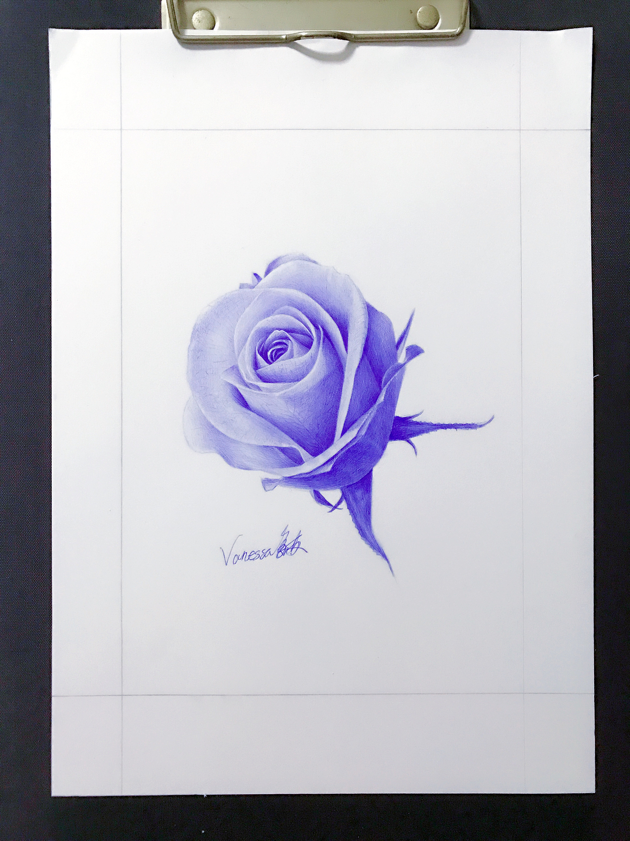 圆珠笔画玫瑰花带步骤