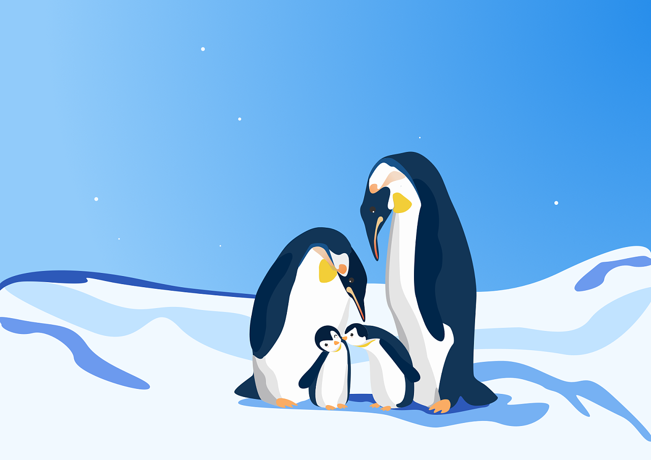 可爱小企鹅摄影壁纸 -桌面天下（Desktx.com）