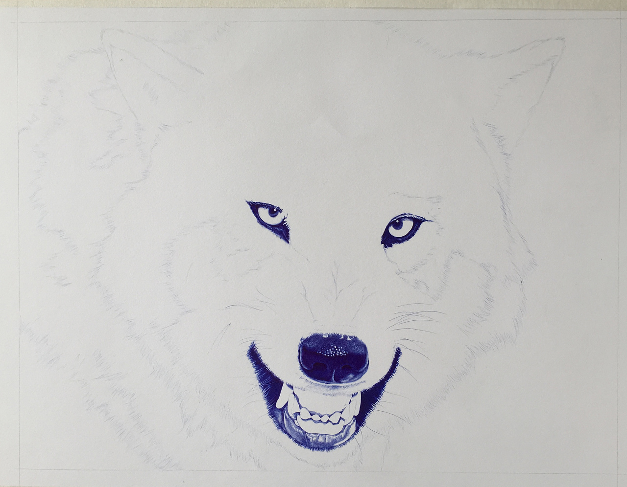 圆珠笔四开狼一只