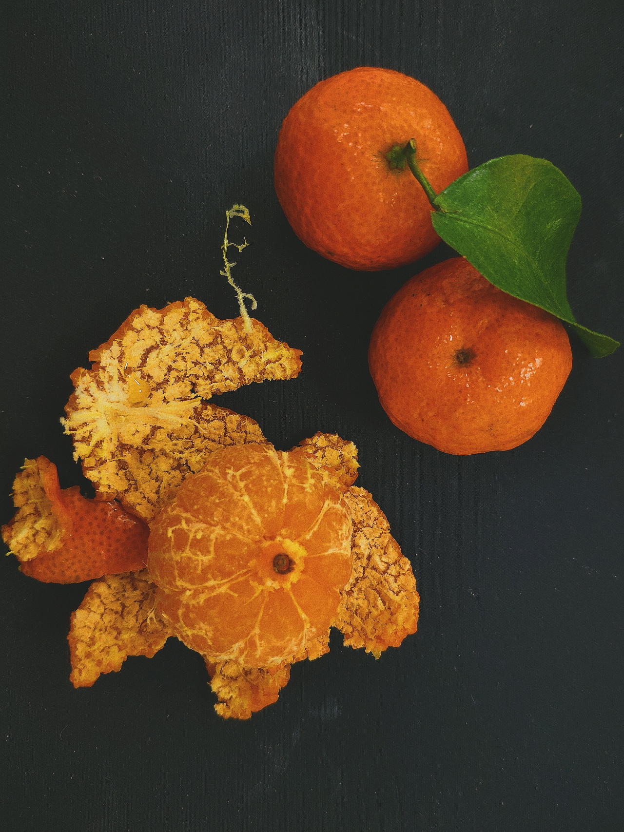 橘色的橘子|摄影|产品摄影|北风那个吹213 - 原创作品 - 站酷 (zcool)