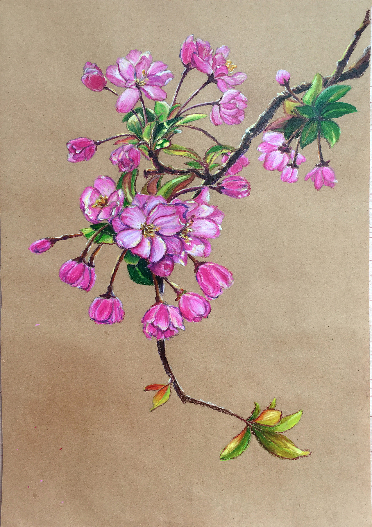 春日之花|纯艺术|绘画|gailcg_原创作品-站酷zcool