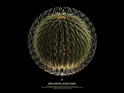 《生物进化Evolution》