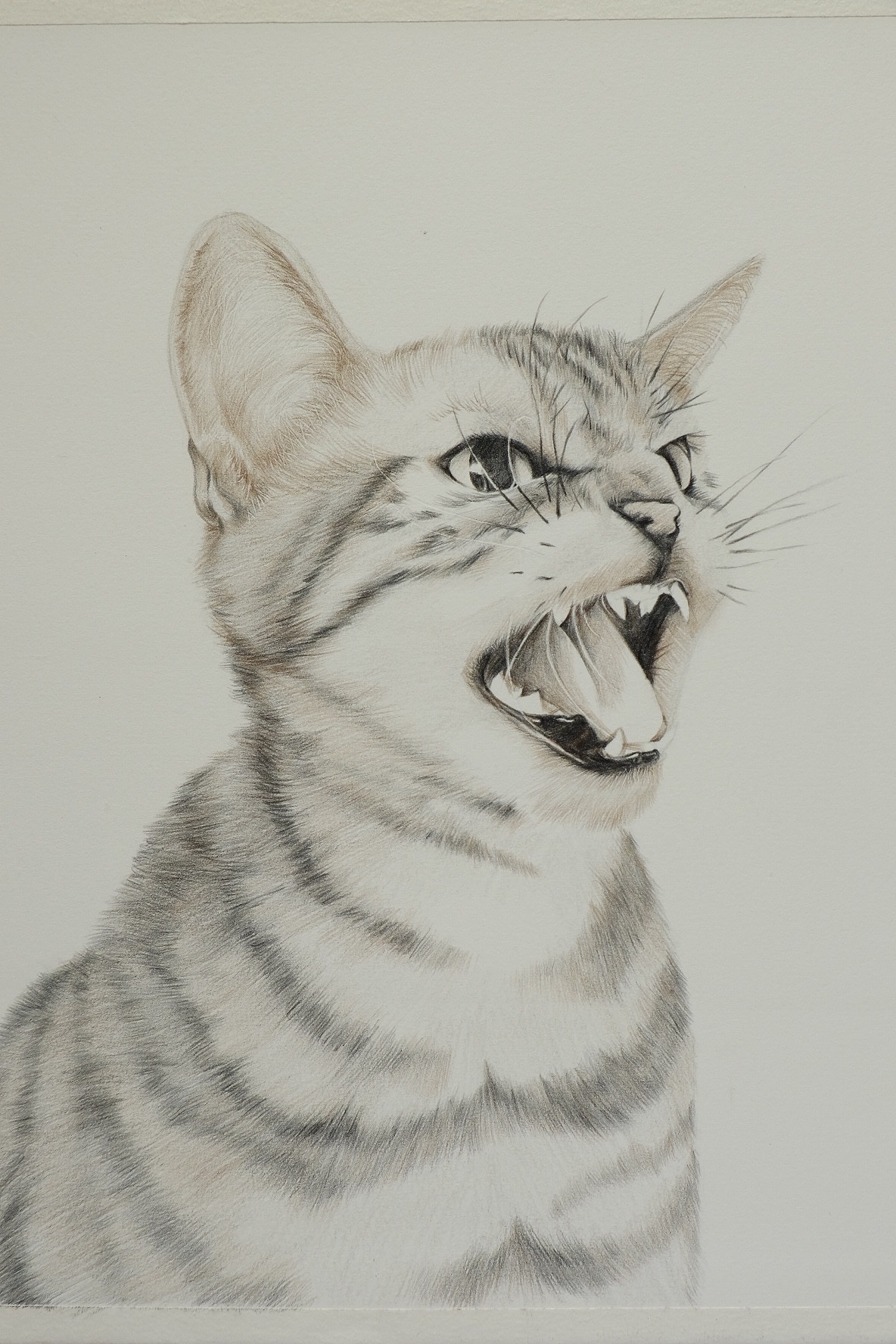 43:42杨成林21:26:58翁振环插画中的色彩与光影119559ipad插画入门