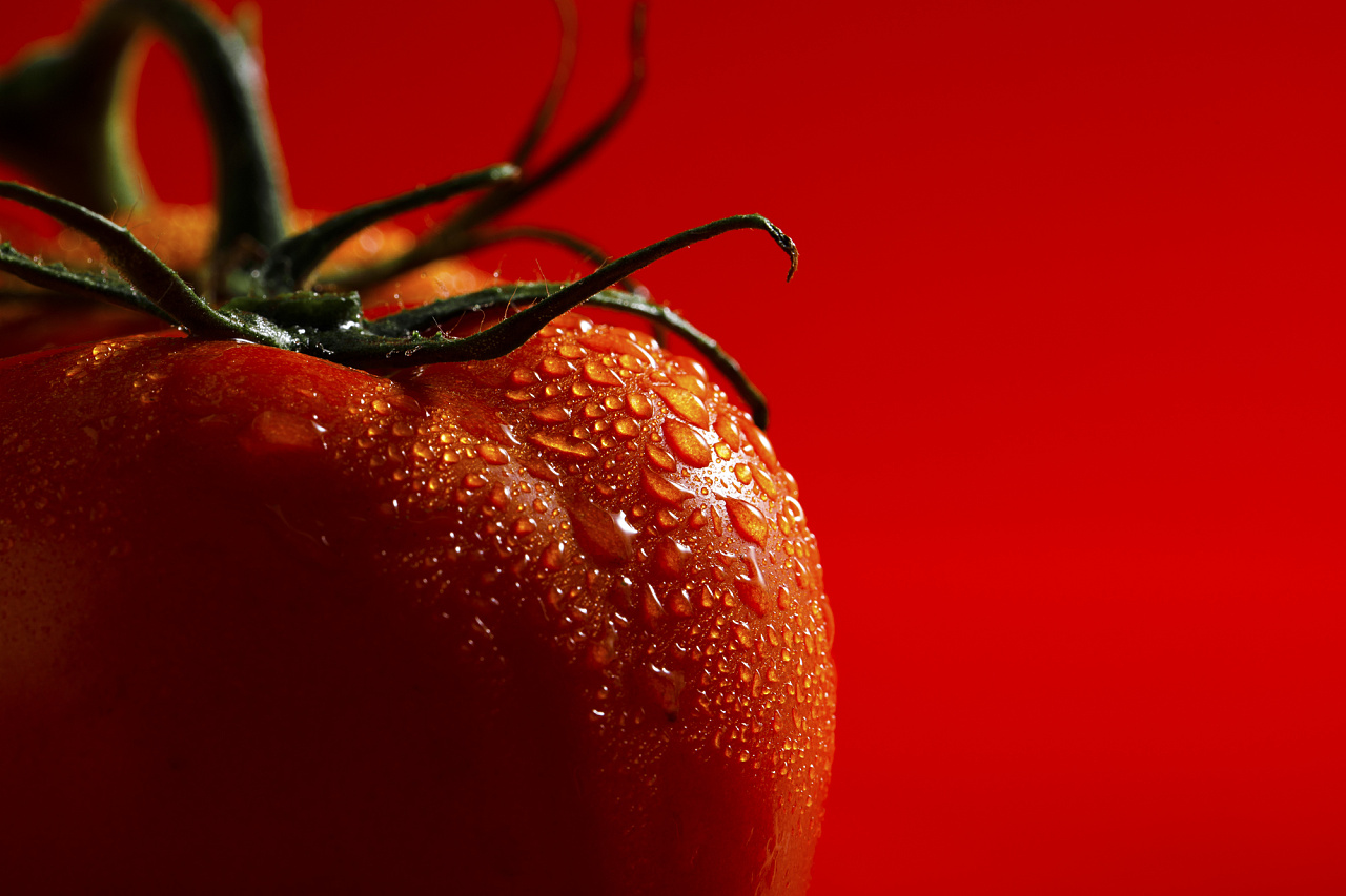 番茄西红柿 | 素材