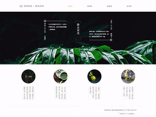 网页设计整理