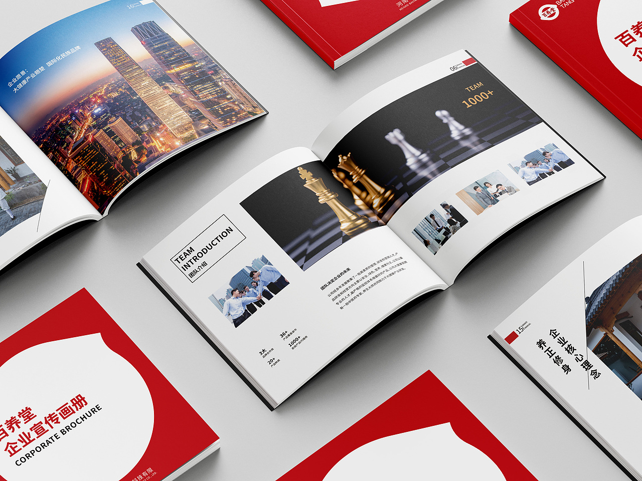 百养堂画册设计