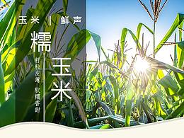 玉米详情页