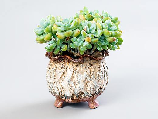 种植记