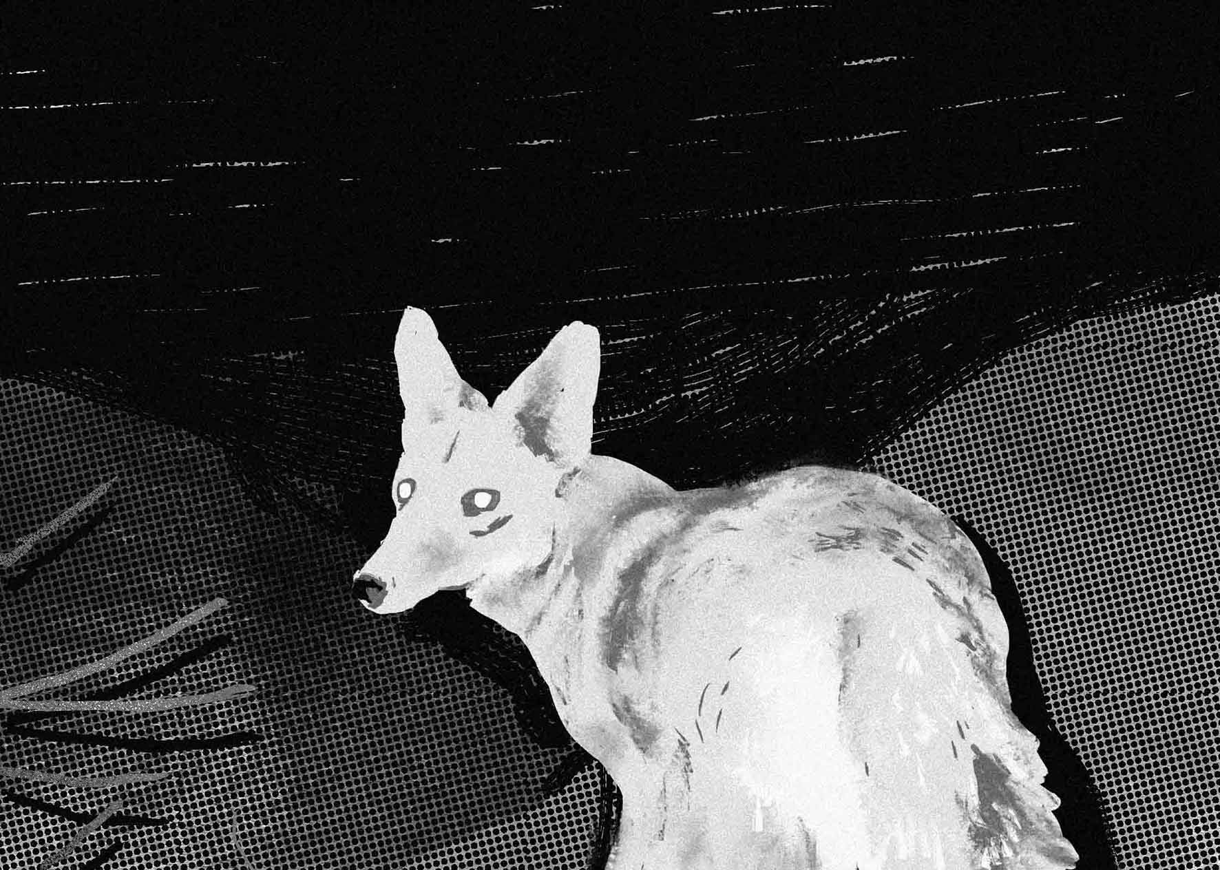 oooisu的个人主页（背景预览） - 主页背景设置 - 站酷设计师oooisu原创素材 - 站酷ZCOOL