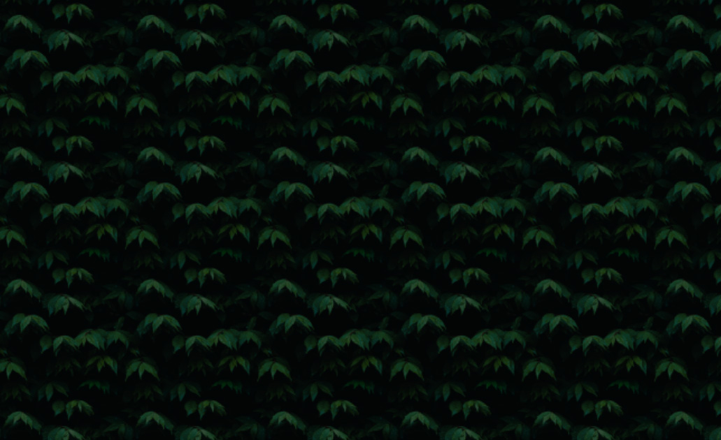 黃家貓貓的個(gè)人主頁(yè)（封面預(yù)覽） - 主頁(yè)封面設(shè)置 - 站酷設(shè)計(jì)師黃家貓貓?jiān)瓌?chuàng)素材 - 站酷ZCOOL