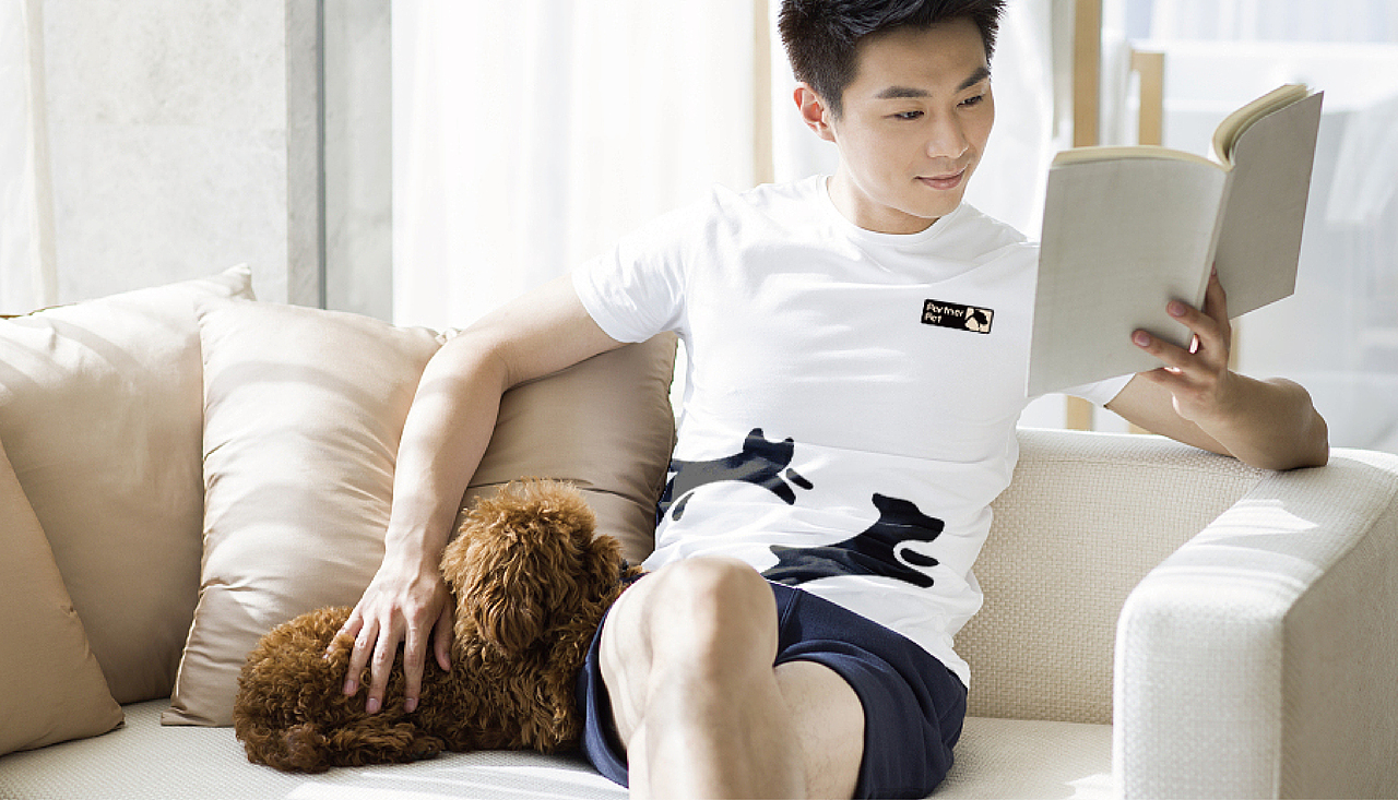 帕特诺尔宠物食品品牌形象vi设计