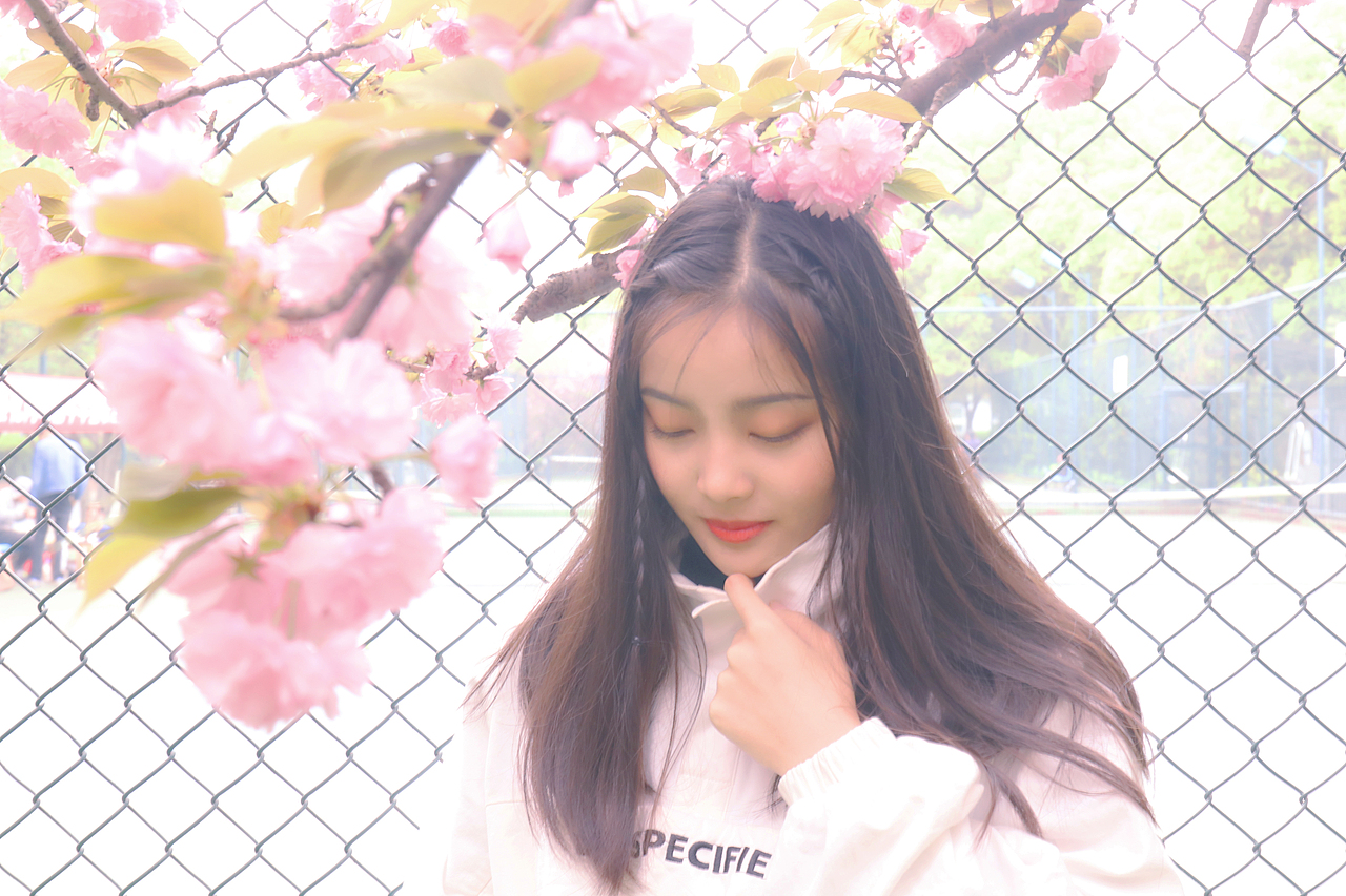 “樱花樱花想见你”