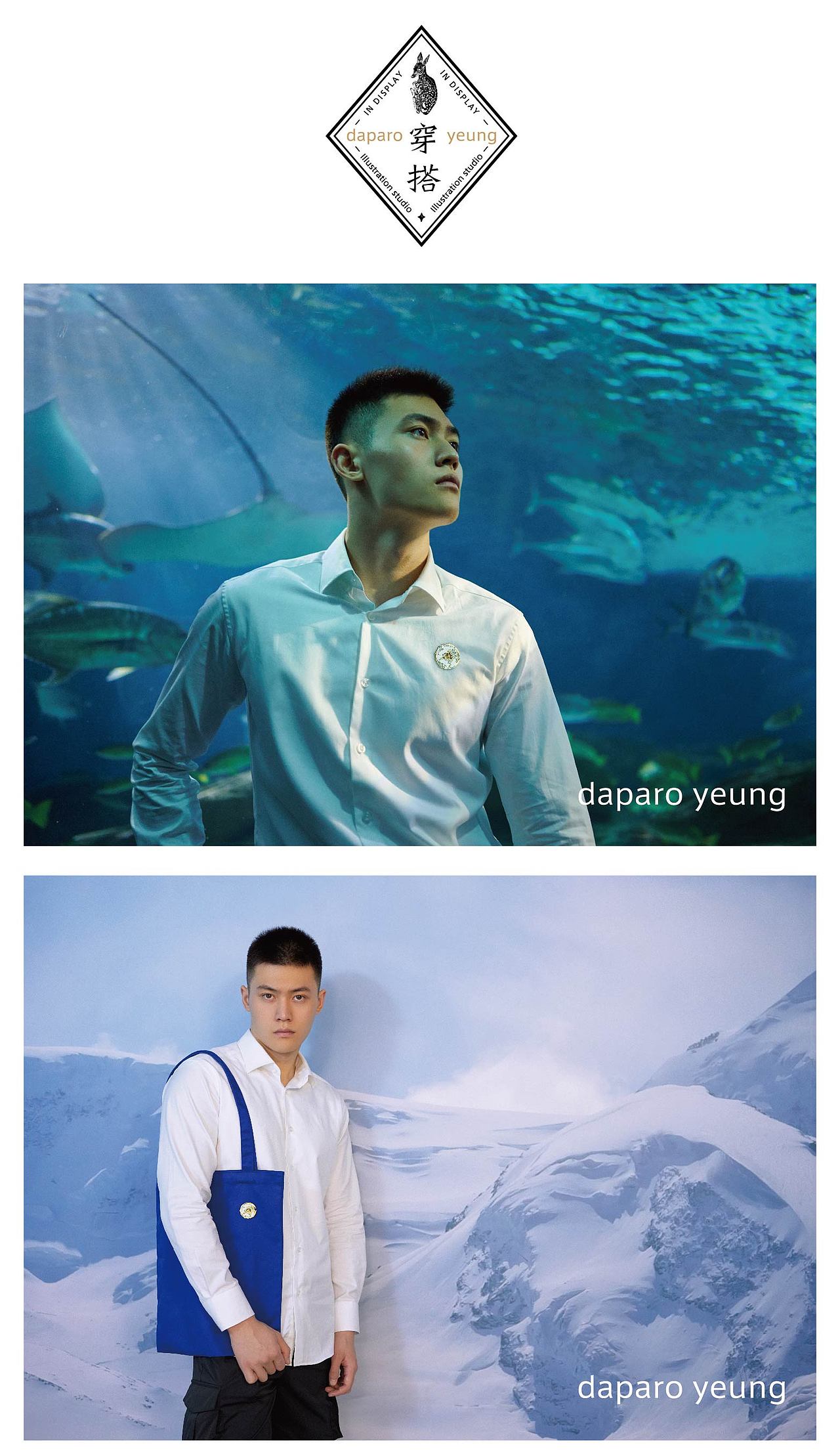 「daparo yeung」白鲸、一角鲸极地双子星胸针设计（图ZMjU2MDk2MTYw） - 首饰设计 - 站酷设计师daparo原创素材 - 站酷ZCOOL