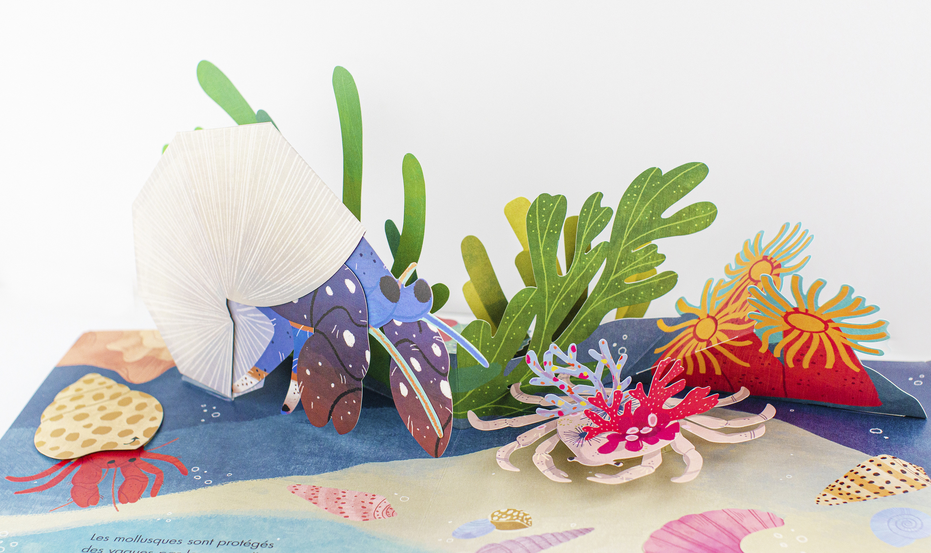 立体书插画(v型折)