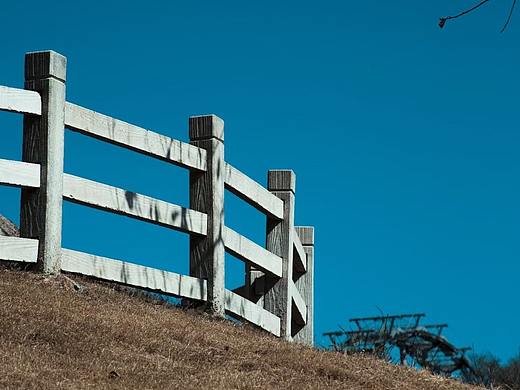 11月隨拍（個(gè)人主頁-ZNTY1MTQ1OTY=） - 風(fēng)光攝影 - 站酷設(shè)計(jì)師莫言默原創(chuàng)素材 - 站酷ZCOOL