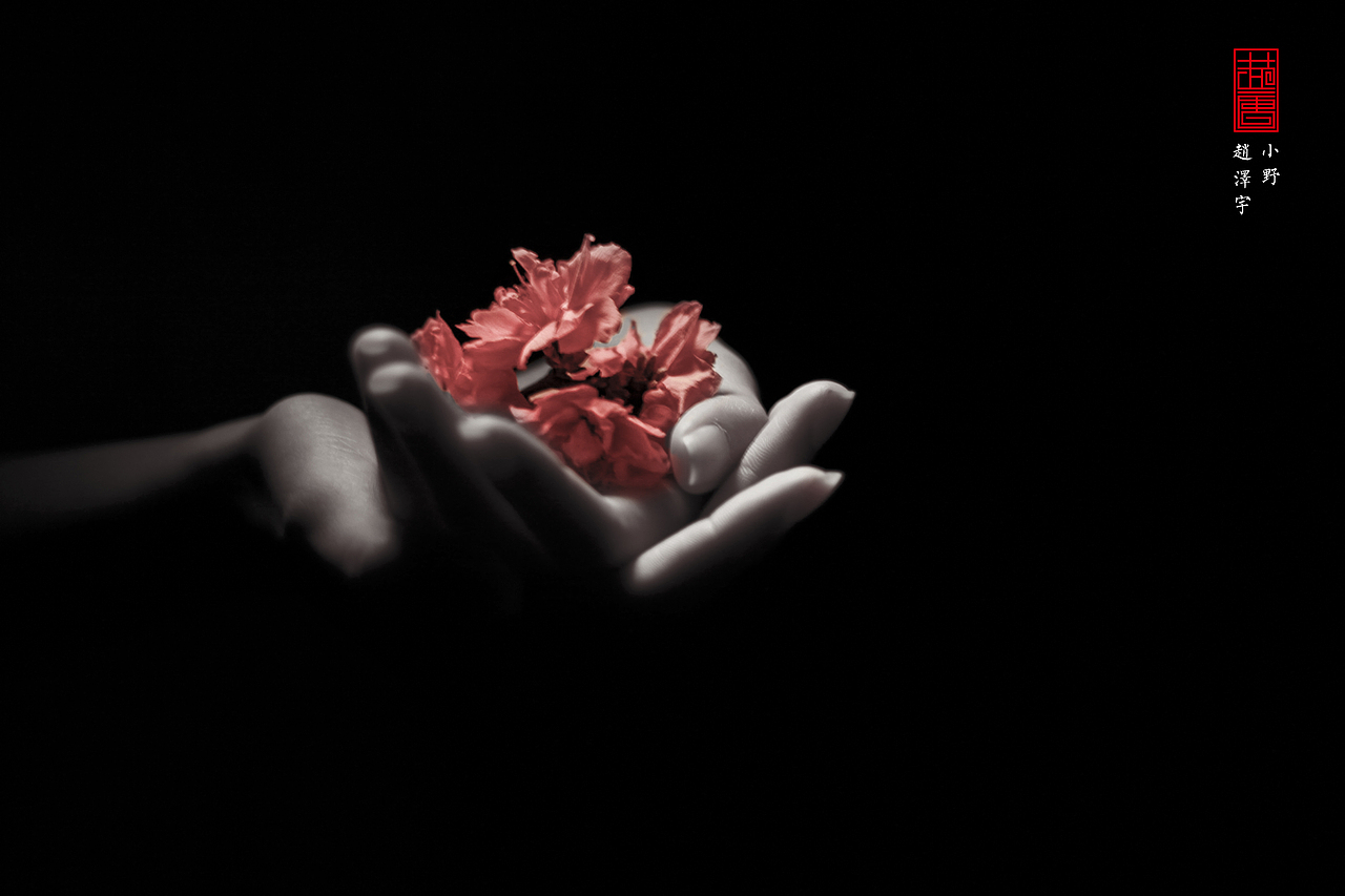 摄影|成年礼《花祭》