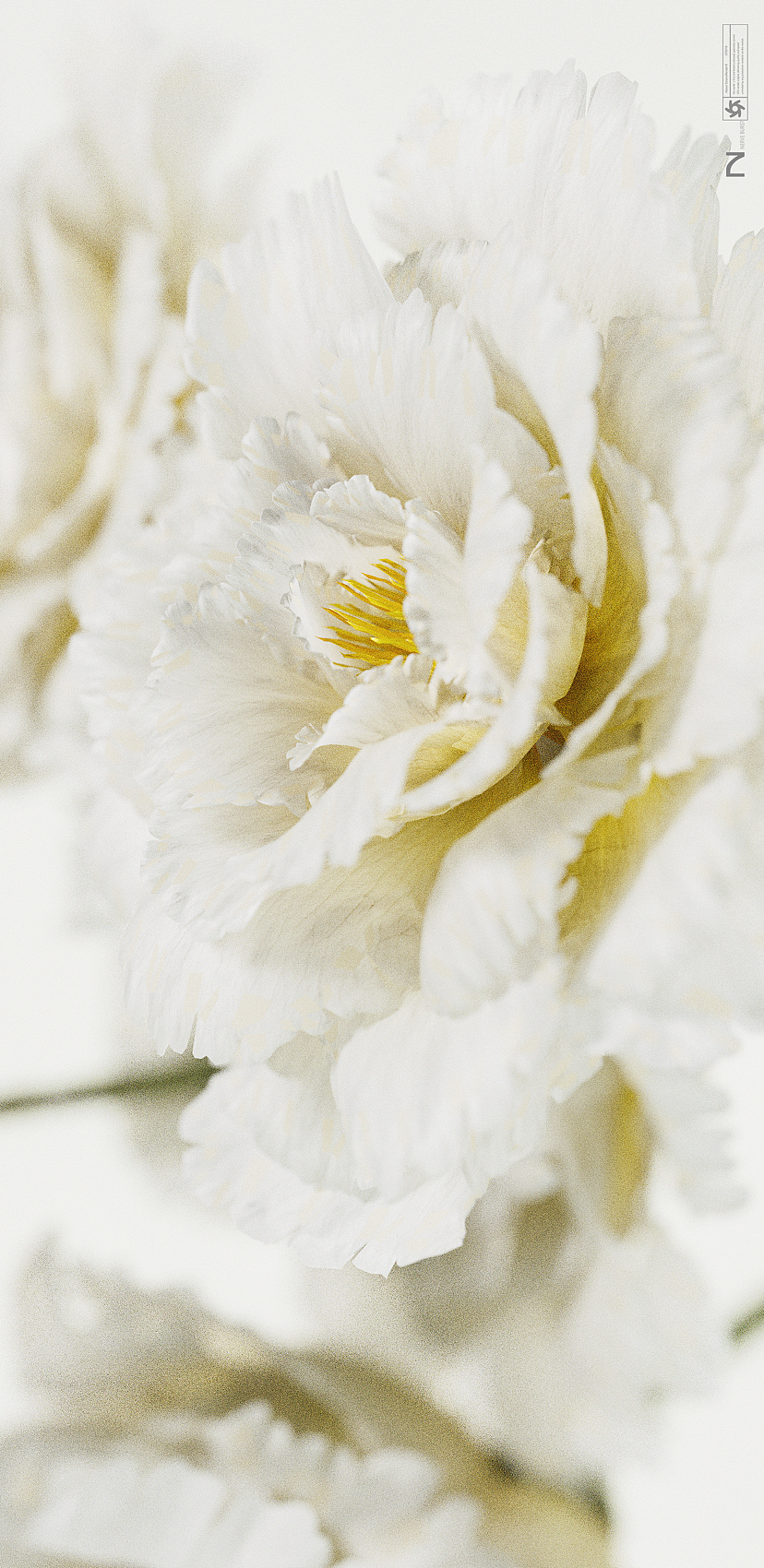 近期产品渲染练习（图ZMzY2NDk2MzQ4） - 产品 - 站酷设计师其实我脾气超好的原创素材 - 站酷ZCOOL