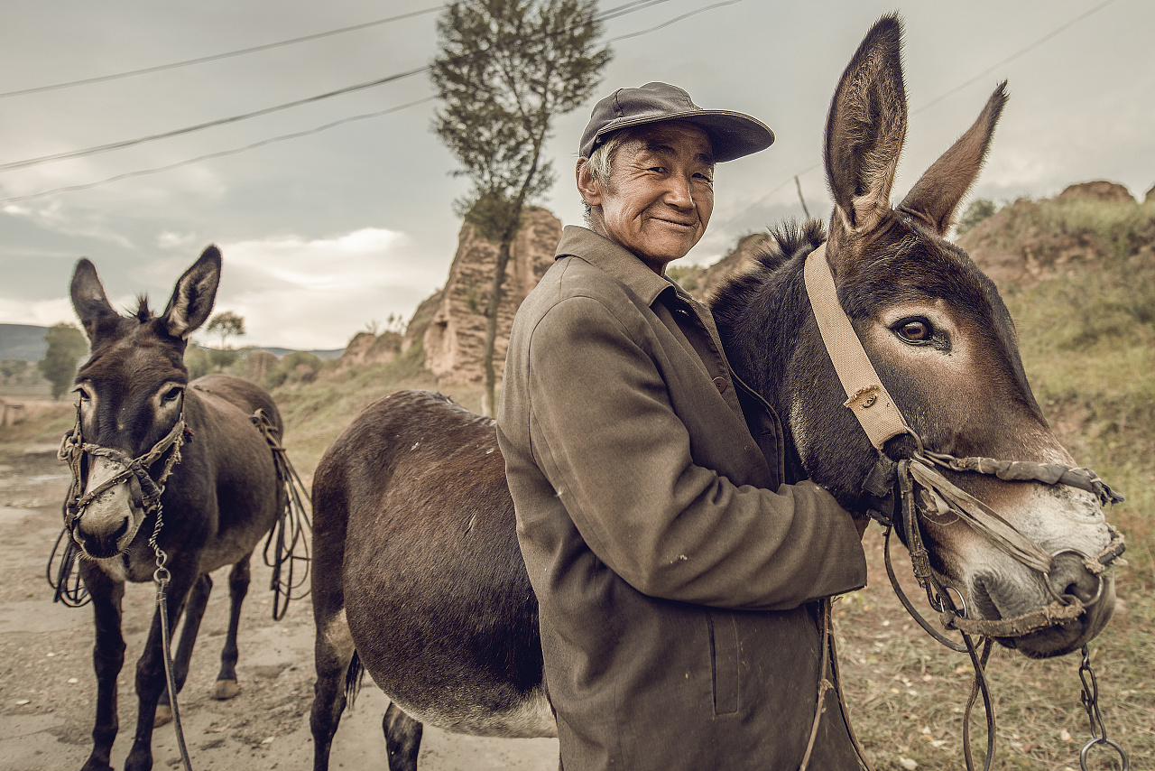 农夫和他的伙伴