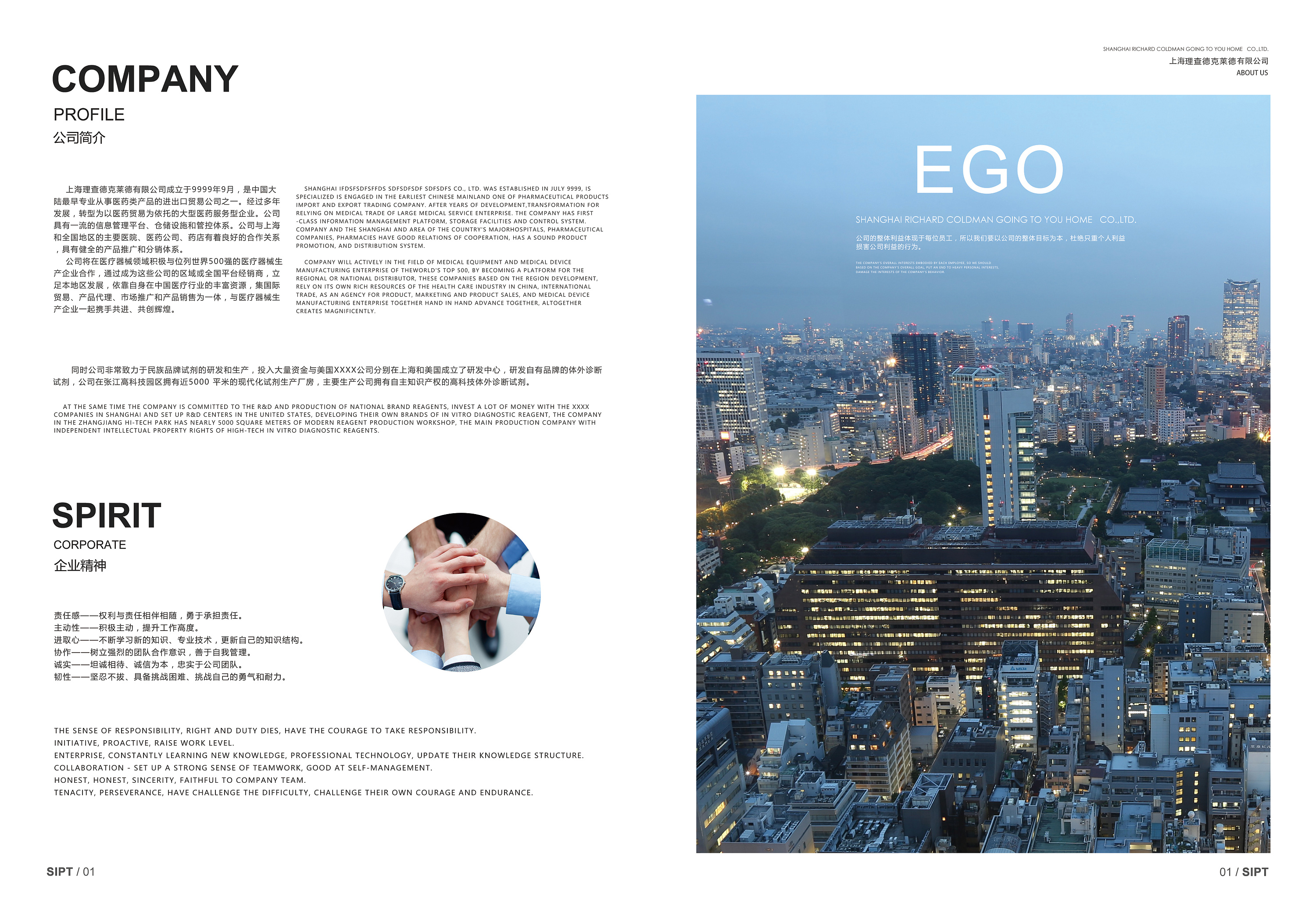 医疗公司 宣传册版式排版 企业画册目录 产品目录 商业dm catalog