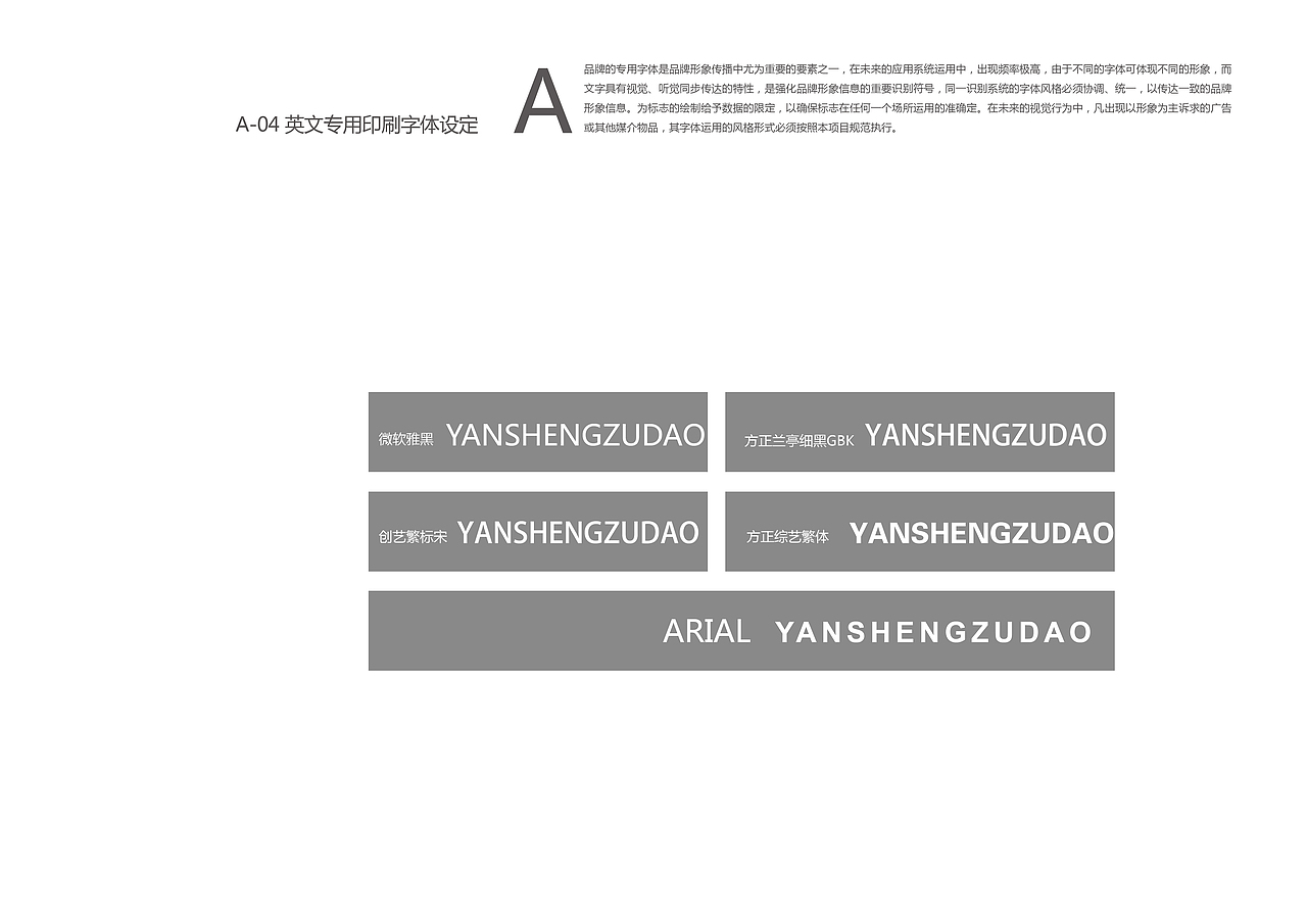 VIS视觉识别手册