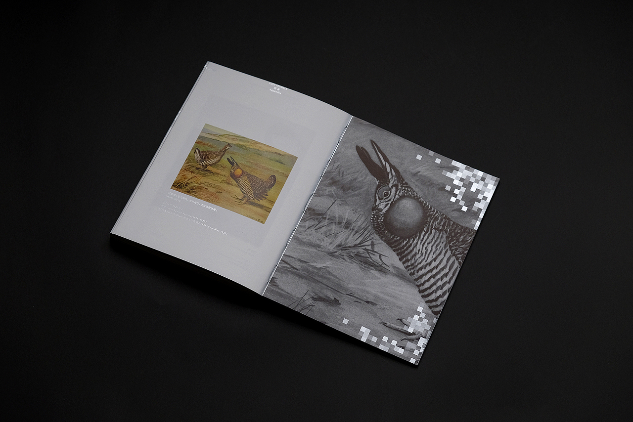 《消失的动物》LOST ANIMALS - 书籍装帧设计(图ZMjEzMTA3MDQ4) - 书籍/画册 - 站酷设计师亿电设eDeSIGN原创素材 - 站酷ZCOOL