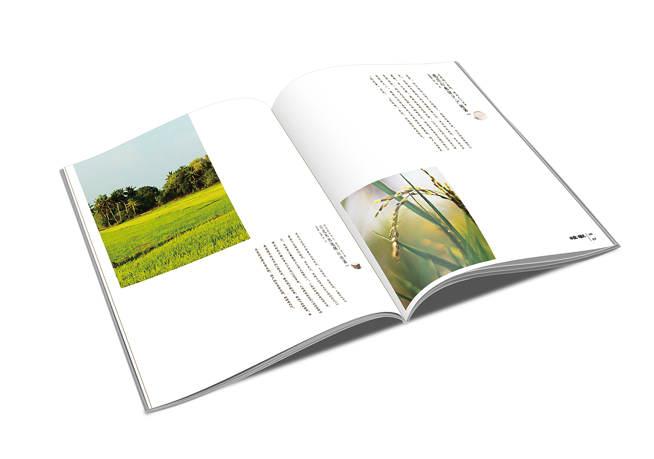 某粮食画册（图ZMTUwMTEzMjg=） - 书籍/画册 - 站酷设计师无名之辈一李原创素材 - 站酷ZCOOL