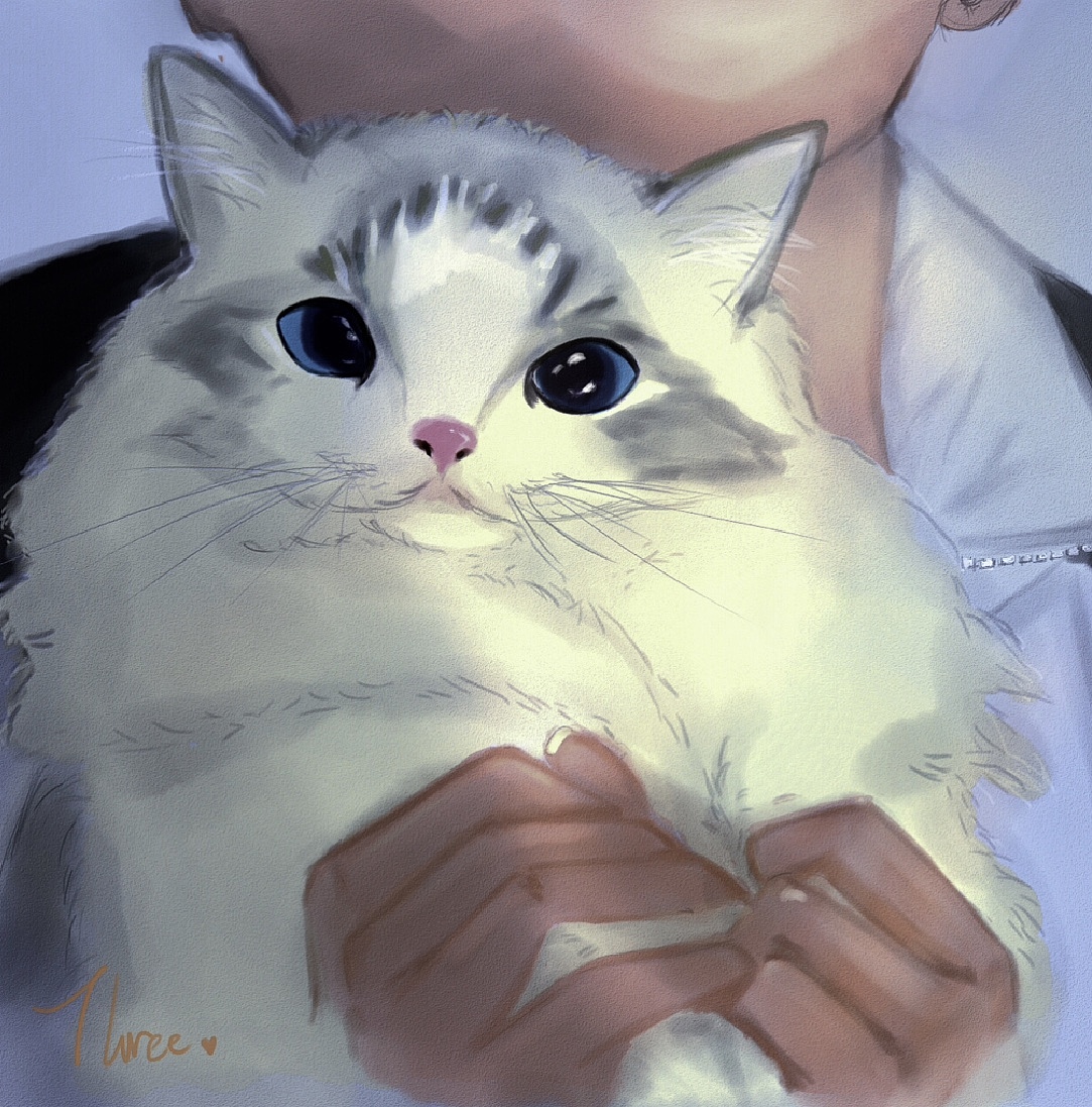 布偶猫糯糯（图ZMTg1MjA4NDY4） - 创作习作 - 站酷设计师Three喔原创素材 - 站酷ZCOOL