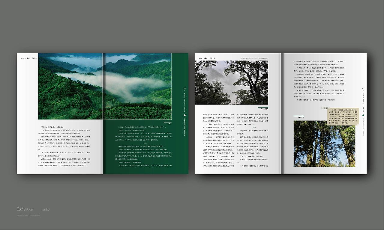 作品（图ZMTkzNzI4MDA=） - 书籍/画册 - 站酷设计师杨柯_yolkassn原创素材 - 站酷ZCOOL