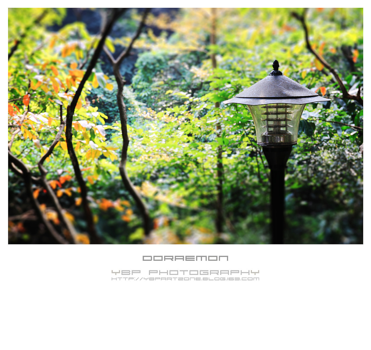 【YBP】白云小小の世界