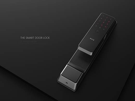 智能门锁/The smart door lock