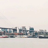音乐家王遗风的头像