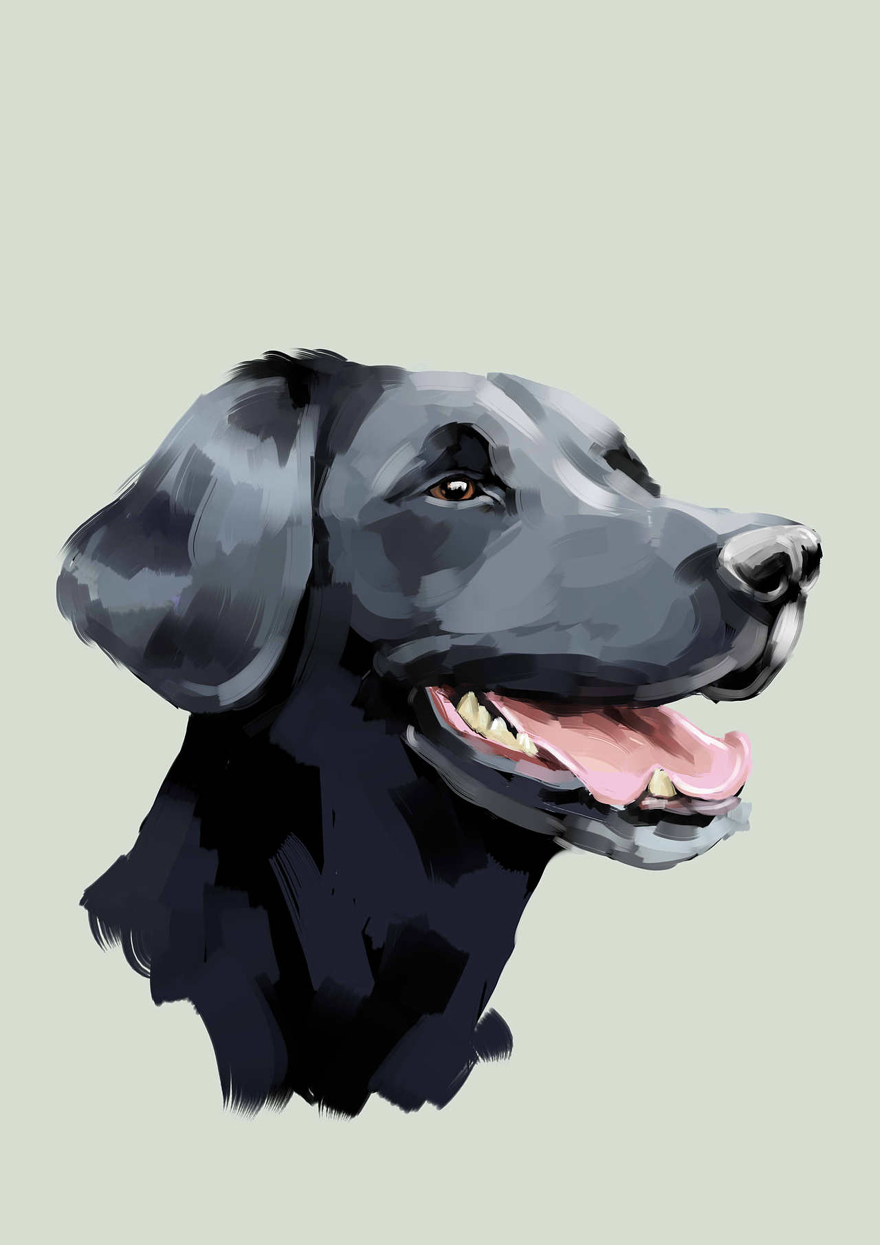 动物画（图ZMTg2OTU1NzI4） - 其他 - 站酷设计师Z68934585原创素材 - 站酷ZCOOL